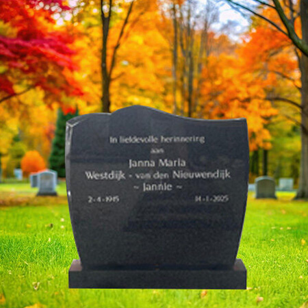 "Black granite upright headstone with curved top, polished vertical panel, and rectangular base—crafted for engraved legacy tribute."