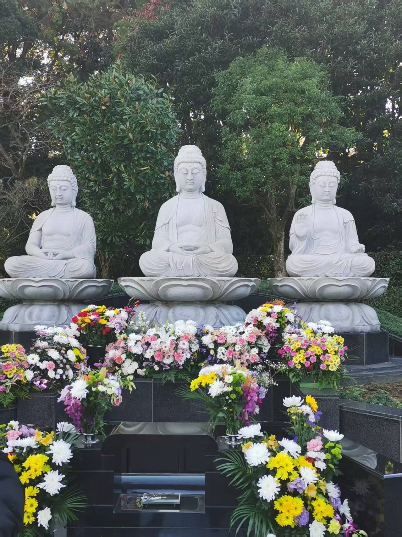 Infographic showing Elhasg’s six brand advantages: craftsmanship, global design, quality control, variety, service, and pricing.